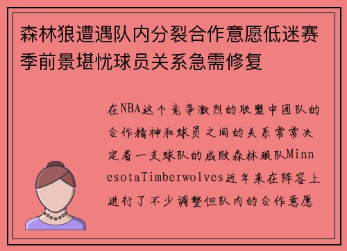 森林狼遭遇队内分裂合作意愿低迷赛季前景堪忧球员关系急需修复